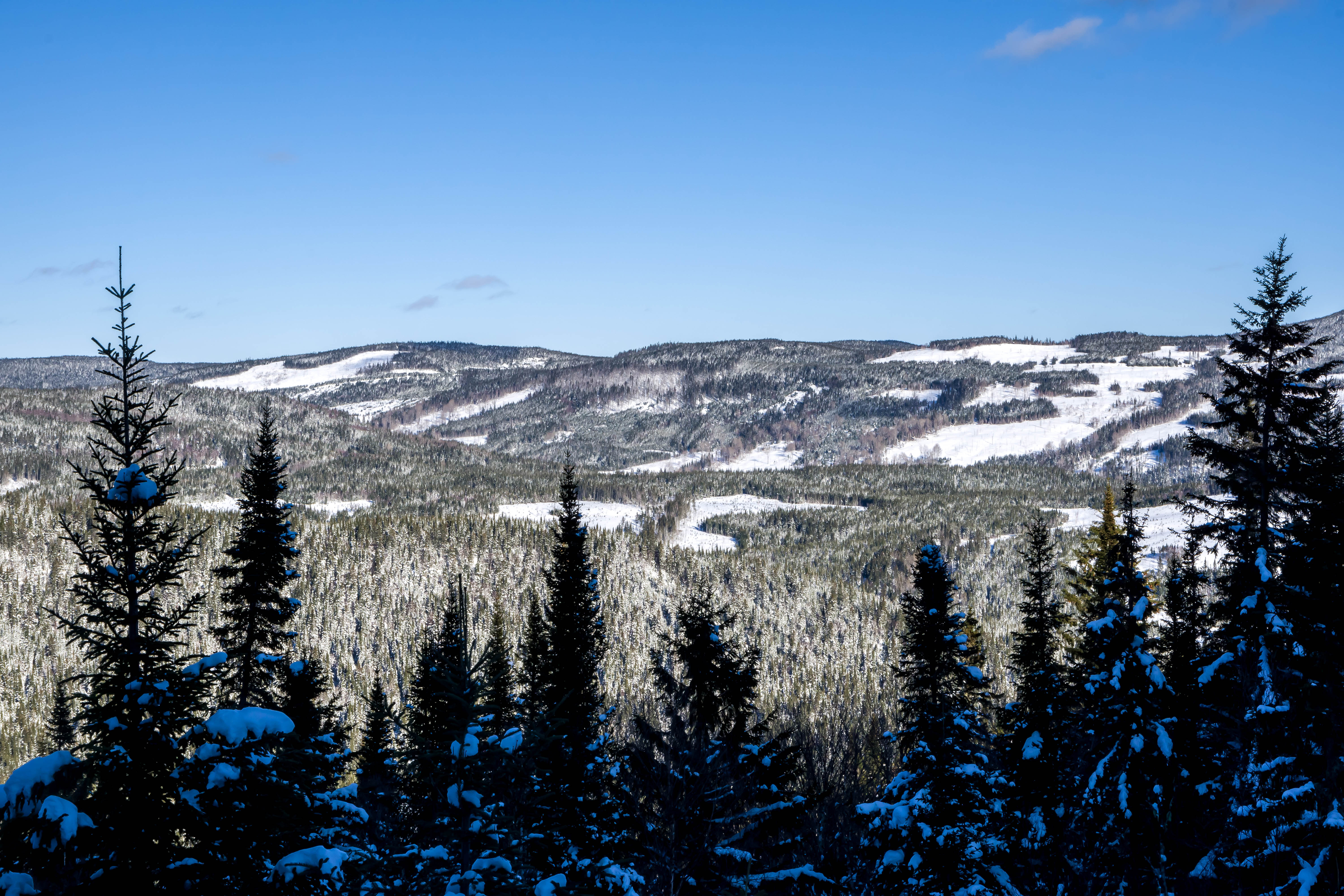 Une situation géographique unique Paysage d'hiver à la Forêt Montmorency