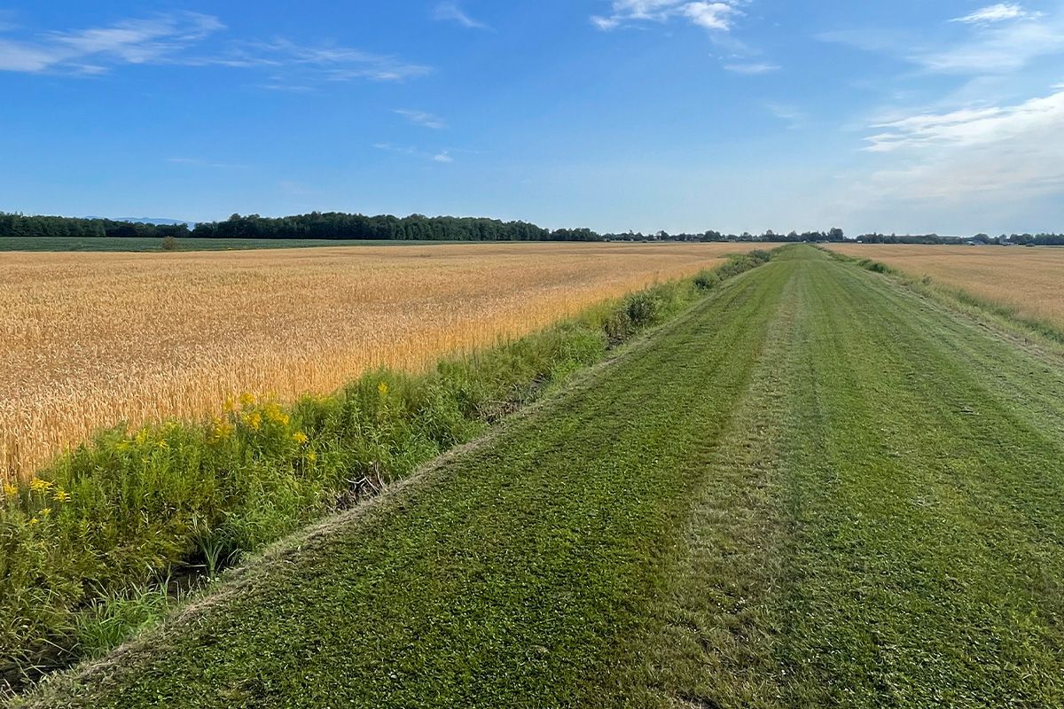 Ferme St-Louis-de-Pintendre