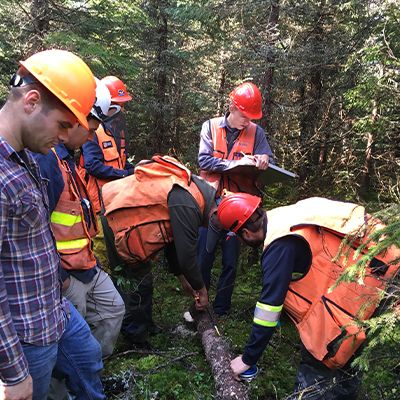 Un groupe d'étudiants en forêt qui prennent des mesures