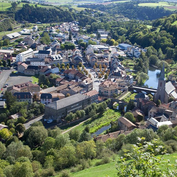 Vue aérienne d'un village avec des arbres