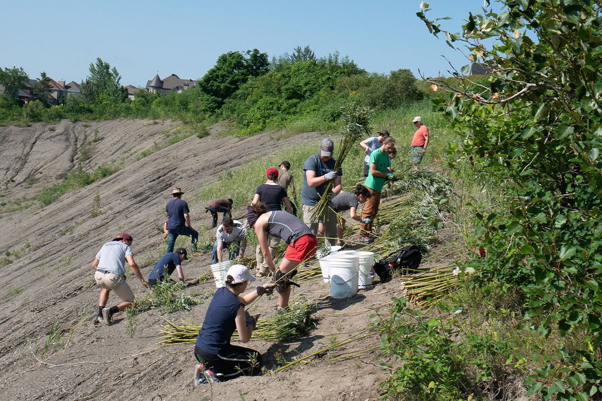 Groupe d'étudiants dehors l'été qui plantent de la verdure