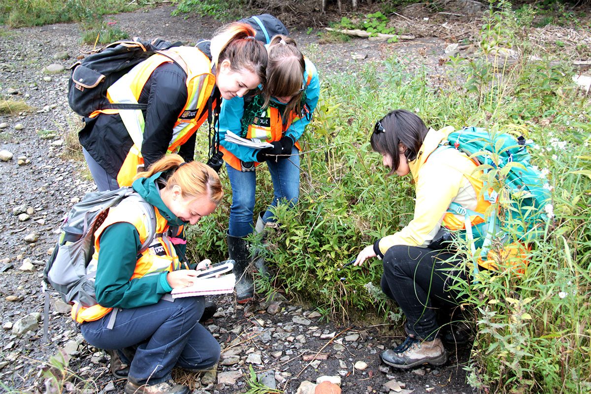 Groupe d'étudiants accroupis autour d'une plante