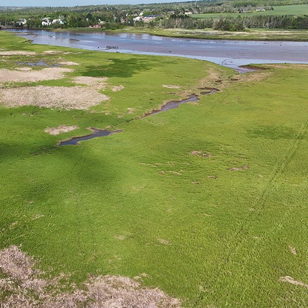 Vue aérienne d'un paysage agricole près d'un cours d'eau