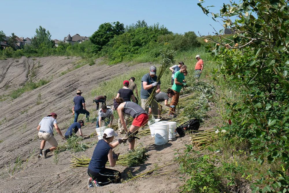 Groupe d'étudiant en été sur une terrain vague avec des herbes