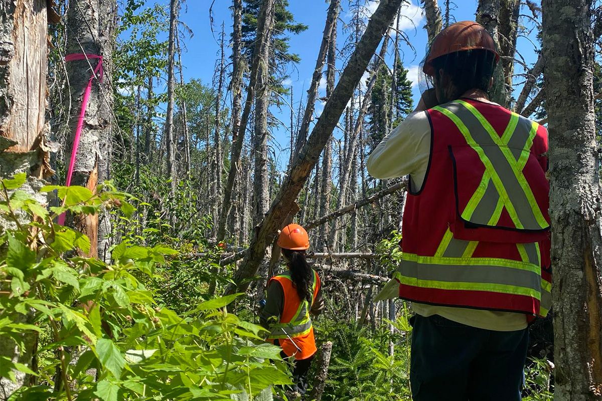 Deux personnes dans la forêt