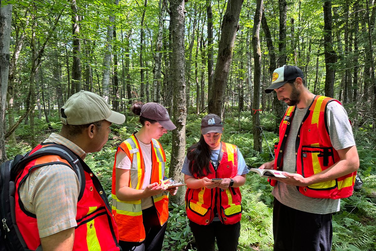 Groupe d'étudiant dans la forêt qui analyse un document