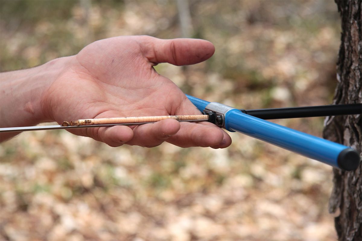 Main qui tient un outil pour retirer une carotte de bois d'un arbre