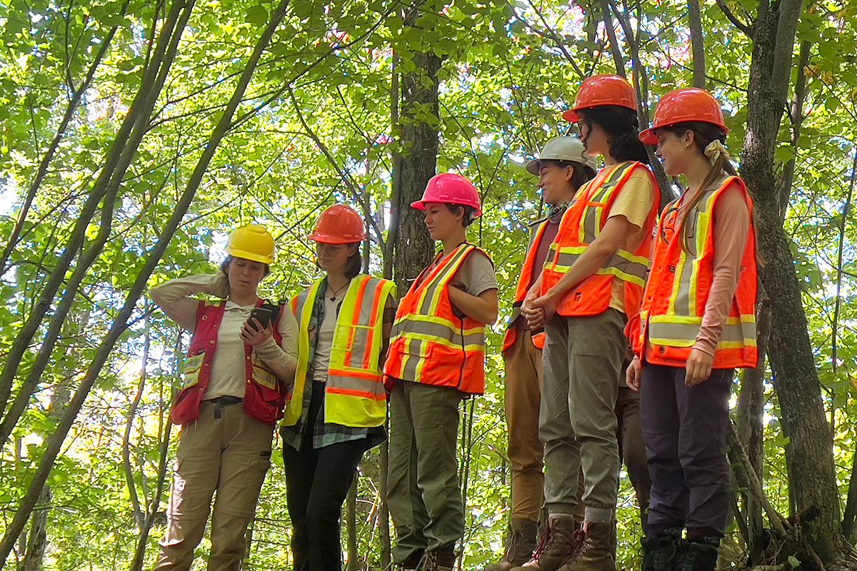 Groupes d'étudiantes en forêt 