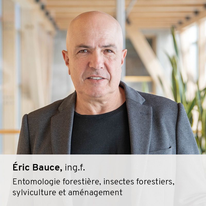 Éric Bauce