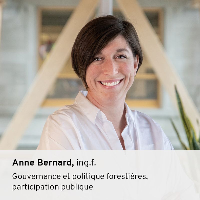 Anne Bernard