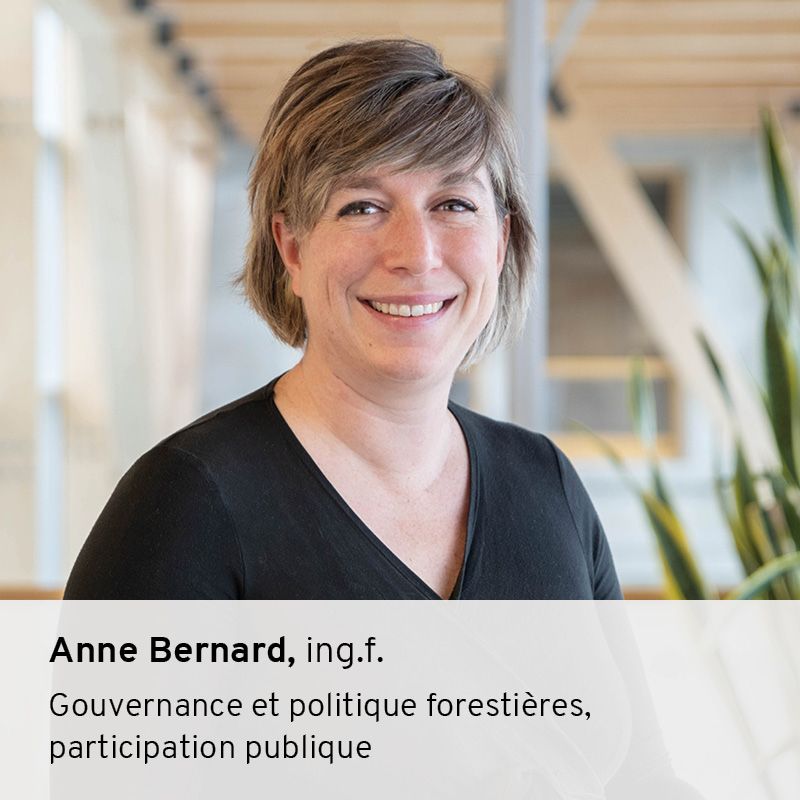 Anne Bernard