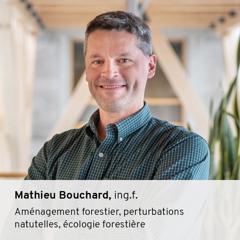 Mathieu Bouchard