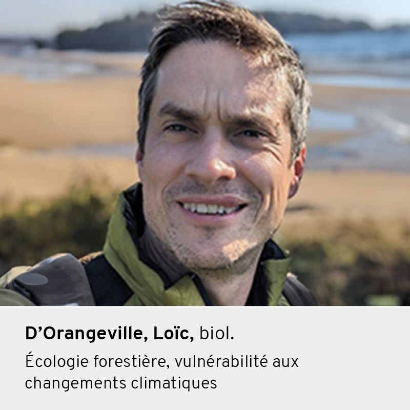 Loïc D'Orangeville