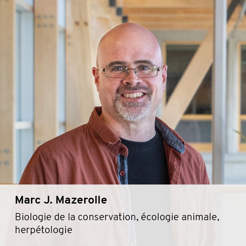 Marc J. Mazerolle