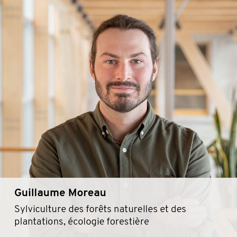 Guillaume Moreau